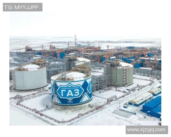 亚马尔地区能源开发与国际合作新机遇探讨