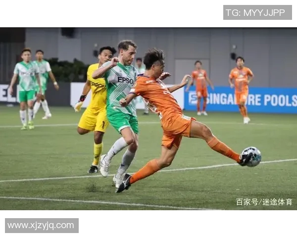 新泻天鹅迎战水户蜀葵期待精彩对决与精彩进球的足球盛宴