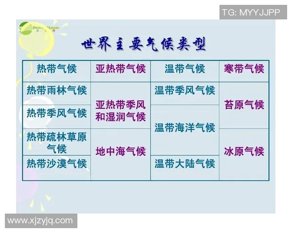 泰国与新加坡气温对比分析探讨热带气候的异同与影响