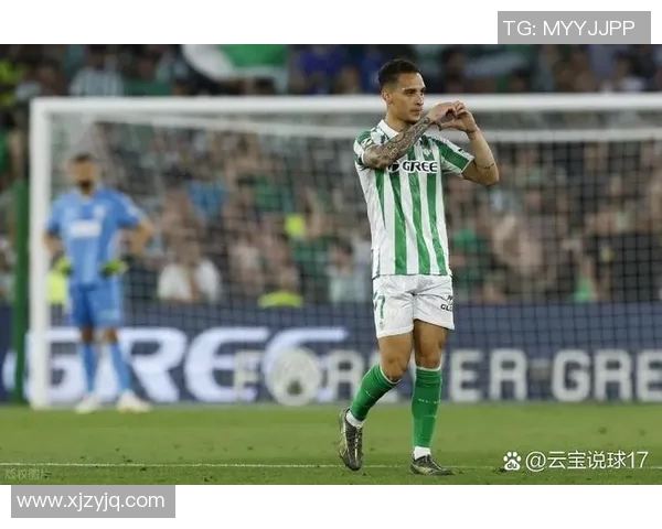 墨尔本城对西部联比赛分析与推荐策略分享