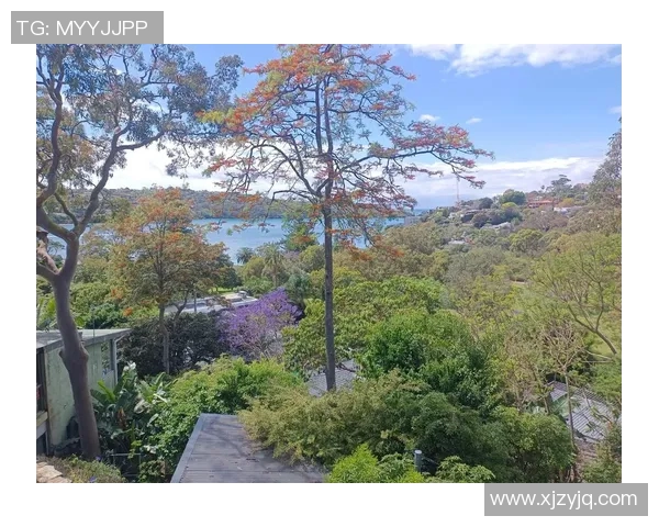 布里斯班与悉尼漫步之旅：探索澳大利亚两大城市的魅力与风情