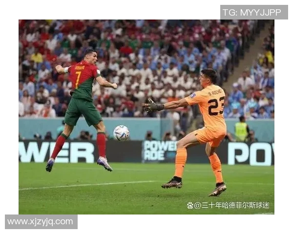 英格兰与威尔士对决结果揭晓球迷热议赛场精彩瞬间