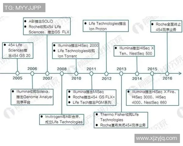 辛宁与布尔诺的精彩对决解析及比赛前瞻展望