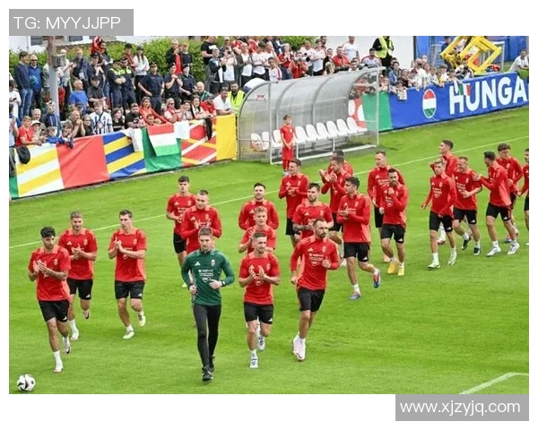 爱沙尼亚与匈牙利足球比赛结果分析及精彩瞬间回顾 爱沙尼亚与匈牙利足球比赛结果分析及精彩瞬间回顾