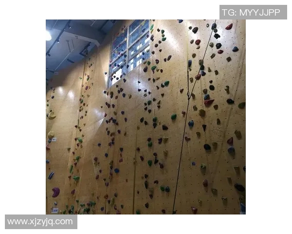 南京攀岩队在比赛中的防守与反击表现分析及其得失总结