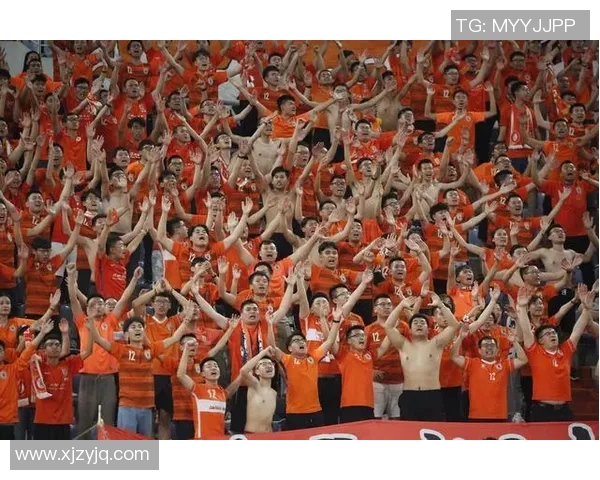 深圳乒乓球队在奥运会上的团队协作表现值得赞赏与反思